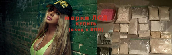 спиды Горняк
