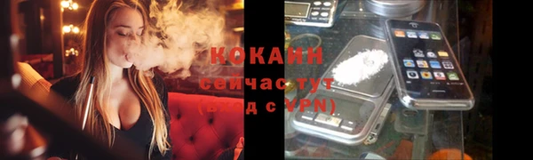 спиды Горняк