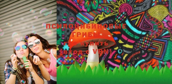 apvp Вязники