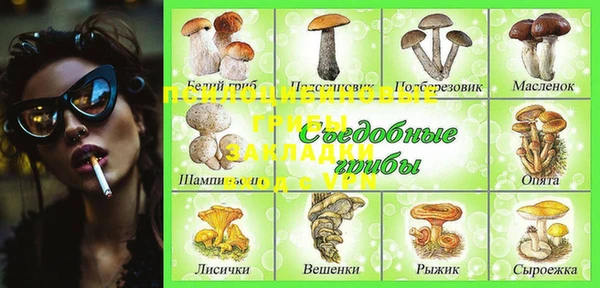 прущие грибы Горнозаводск