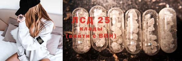 спиды Горняк