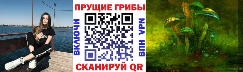 Псилоцибиновые грибы мухоморы  где можно купить наркотик  Гудермес 
